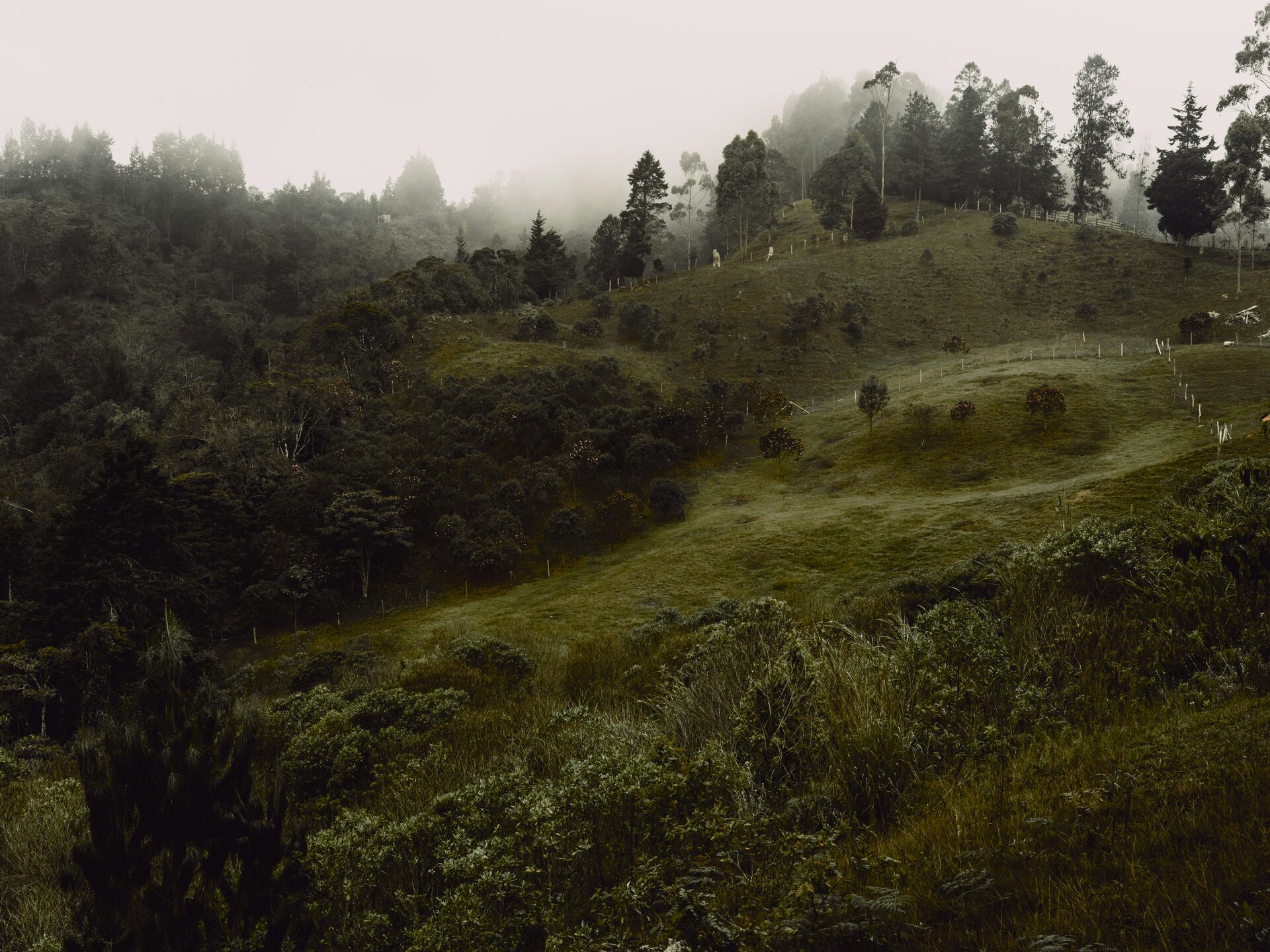 Dark mountain landscape